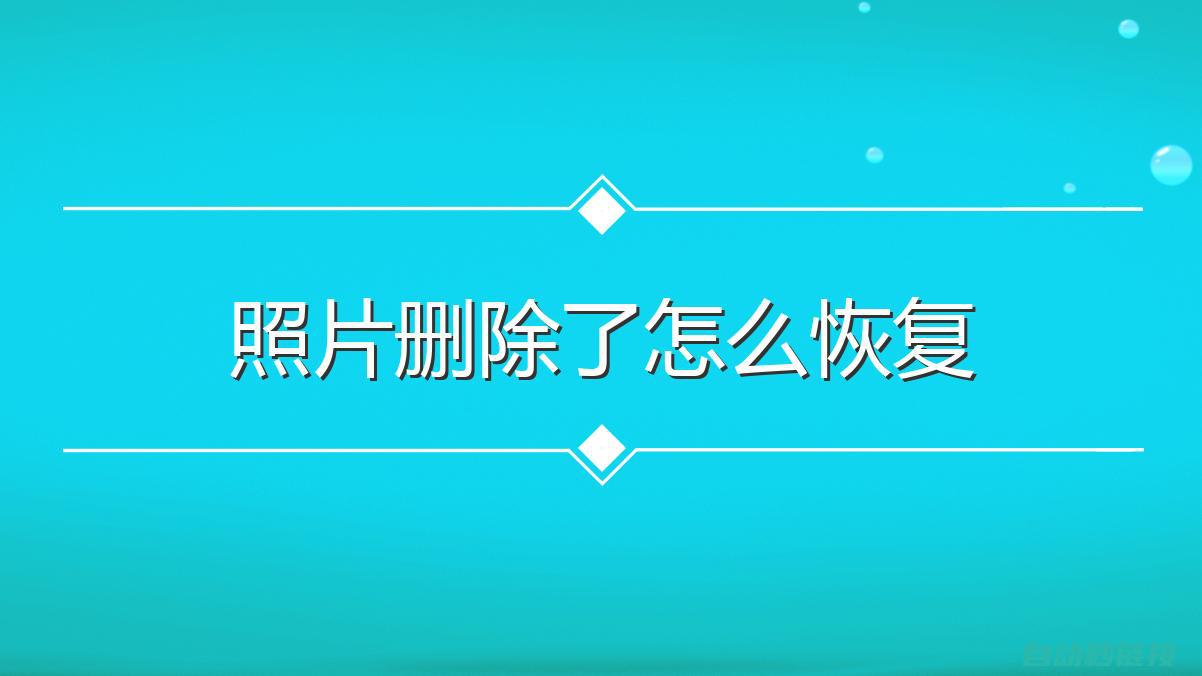 视频教程带你轻松掌握 (视频教程带你学英语)